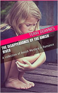 Title: The Disappearance By The Amish River, Author: Terri Downes