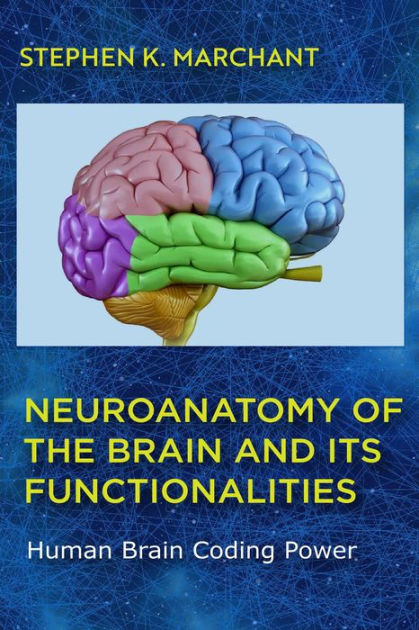 Neuroanatomy of the Brain and its functionalities (1, #172) by Stephen ...