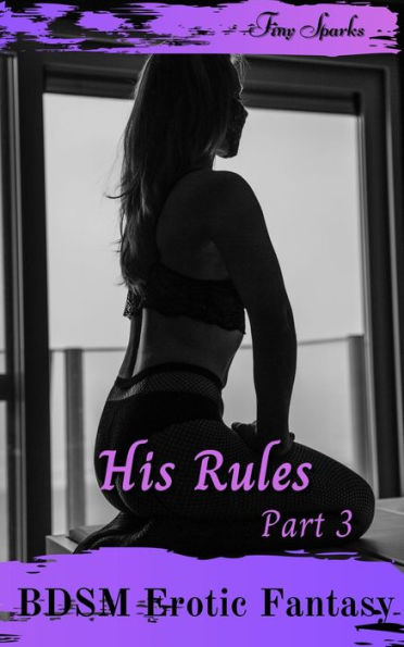 His Rules Part 3 (BDSM Erotic Fantasy, #3)