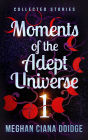Moments of the Adept Universe (Moments of the Adept Universe 1)