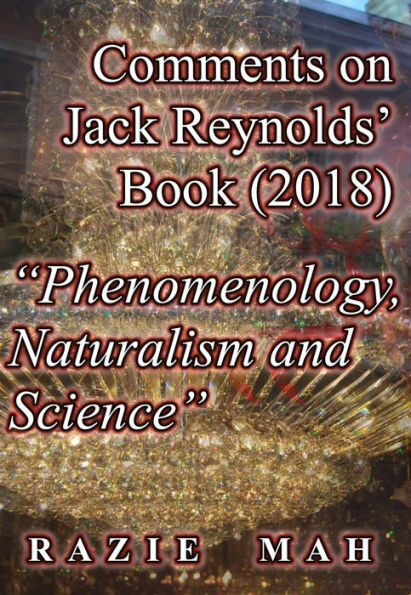 Comments on Jack Reynolds' Book (2018) 