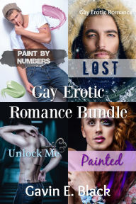Title: Gay Erotic Romance Bundle, Author: Gavin E. Black