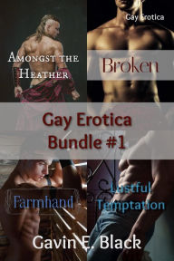 Title: Gay Erotica Bundle #1, Author: Gavin E. Black