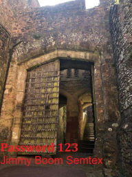 Title: Password 123, Author: Jimmy Boom Semtex