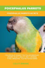Poicephalus Parrots