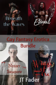 Title: Gay Fantasy Erotica Bundle, Author: JT Fader