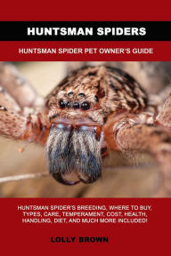 Title: Huntsman Spiders, Author: Lolly Brown