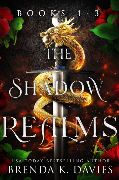 The Shadow Realms Box Set (Books 1-3) by Brenda K. Davies | eBook ...