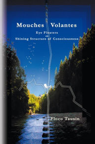 Title: Mouches Volantes: Eye Floaters as Shining Structure of Consciousness, Author: Floco Tausin