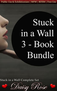 Title: Stuck in a Wall 3: Book Bundle, Author: Daisy Rose