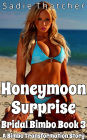 Honeymoon Surprise: A Bimbo Transformation Story (Bridal Bimbo, #3)