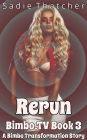 Rerun: A Bimbo Transformation Story (Bimbo.TV, #3)