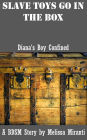 Slave Toys Go in the Box: Diana's Boy Confined