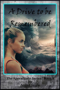 Title: A Drive to Be Remembered, Author: Aedan Sayla