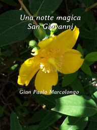 Title: Una notte magica San Giovanni, Author: Gian Paolo Marcolongo