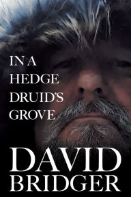 Title: In a Hedge Druid's Grove, Author: David Bridger