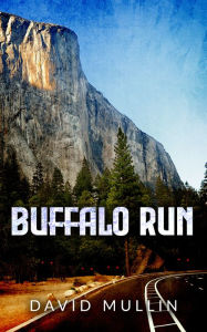 Title: Buffalo Run, Author: David Mullin