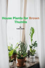 Houseplants for Brown Thumbs