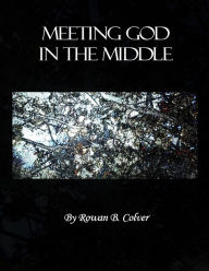 Title: Meeting God In The Middle, Author: Rowan B Colver