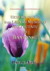 Title: Amasambilisho pa Kutendeka (I)- Ukufwaya kwa kwa Lesa wa Mushilo Muli Butatu pa Bantunse, Author: Paul C. Jong
