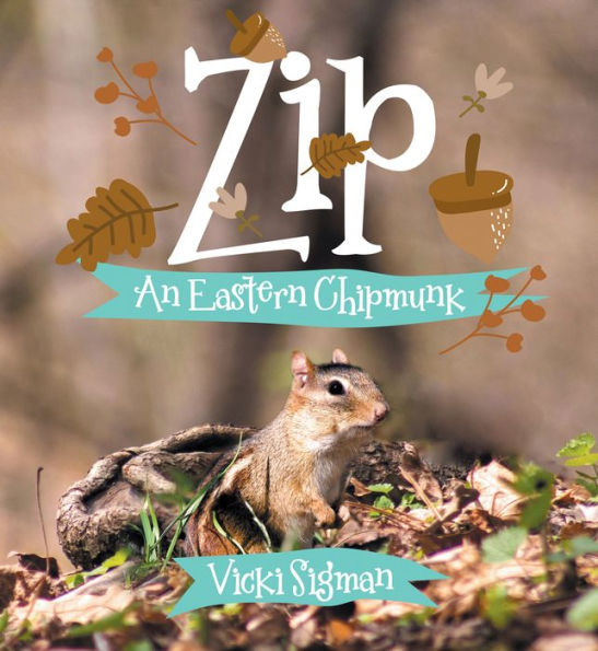 Zip: An Eastern Chipmunk