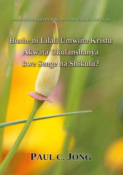 Bushe ni Lilali Umwina Kristu Akwata Ukulanshanya kwe Senge na Shikulu?
