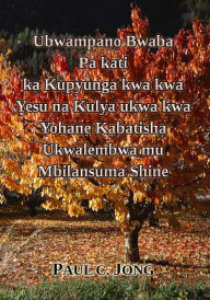 Title: Ubwampano Bwaba Pa kati ka Kupyunga kwa kwa Yesu na Kulya ukwa kwa Yohane Kabatisha Ukwalembwa mu Mbilansuma Shine, Author: Paul C. Jong