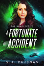 A Fortunate Accident (The Amagi Series, #2)