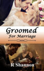 Groomed for Marriage (Ryan Mallardi Private Investigator Series, #1)