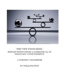 Title: The View From Here: Reflections From A Sabbatical In Solitary Confinement, Author: TJ Wellington