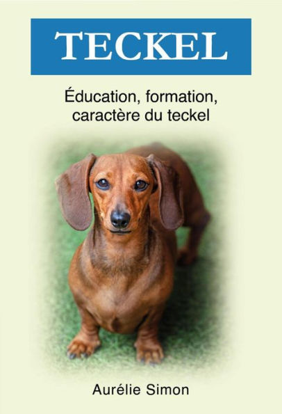 Teckel - Éducation, Formation, Caractère