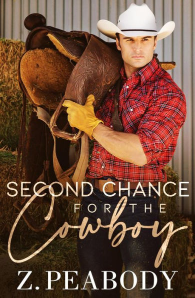 A Second Chance for the Cowboy (The Sawyer Ranch Cowboys, #1)