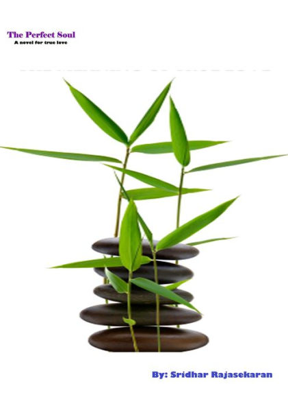 The Perfect Soul