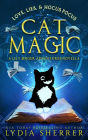 Love, Lies, and Hocus Pocus Cat Magic (The Lily Singer Adventures Novellas, #2)