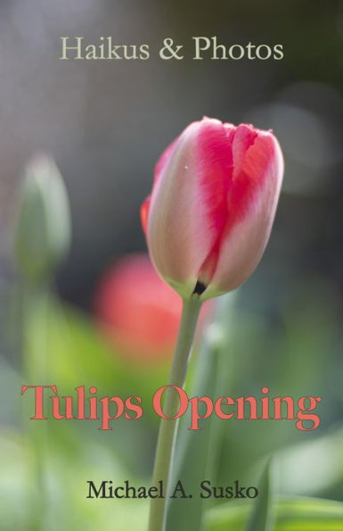 Haikus and Photos: Tulips Opening (Nature Haikus & Photos, #7)