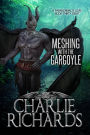 Meshing with the Gargoyle (A Paranormal's Love)