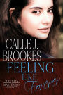 Feeling Like Forever (Masterson County, #9)