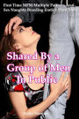Shared by a Group of Men In Public (First Time MFM Multiple Partners Anal Sex Naughty Breeding Erotica Short Story)