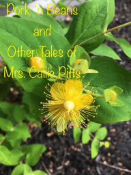 Title: Pork 'n Beans and Other Tales of Mrs. Callie Pitts, Author: Paul Brothe