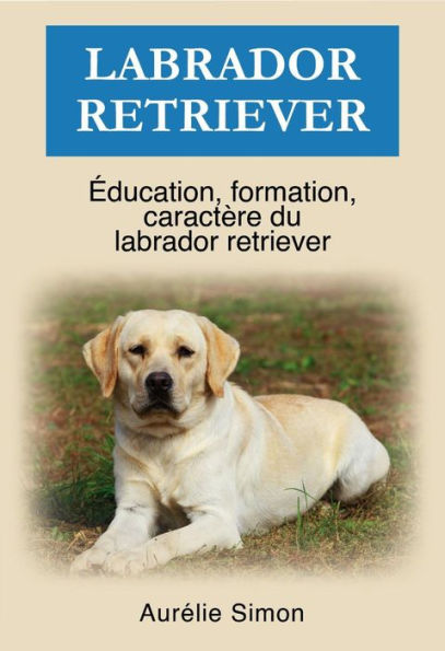 Labrador Retriever - Éducation, Formation, Caractère