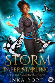 Title: A Storm of Paper Starlings (Not the Same River, #1), Author: Inka York