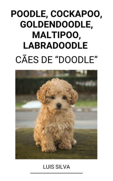 Poodle, Cockapoo, Goldendoodle, Maltipoo, Labradoodle (Cães de 