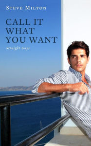 Title: Call It What You Want (Straight Guys, #12), Author: Steve Milton