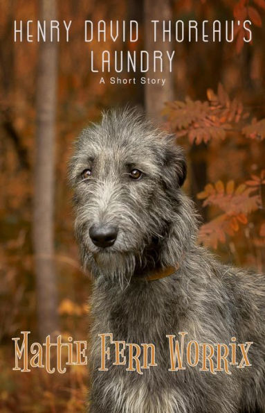 Henry David Thoreau's Laundry