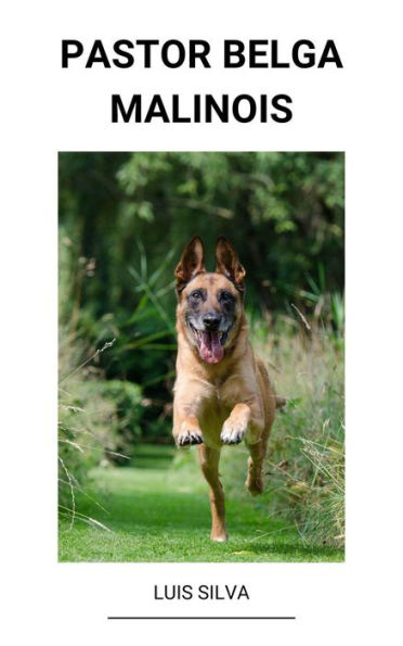 Pastor Belga Malinois