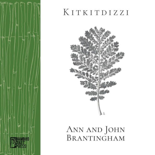 Kitkitdizzi