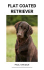 Flat Coated Retriever