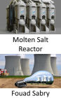 Molten Salt Reactor: Rethinking the fuel cycle in the future of nuclear power?