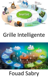 Title: Grille Intelligente: Échange d'électricité et d'informations entre les maisons et les centrales électriques, Author: Fouad Sabry