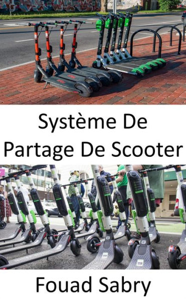 Système De Partage De Scooter: L'éclosion de la micro mobilité